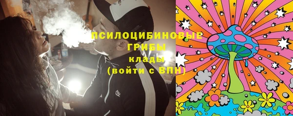 ешки Алексин