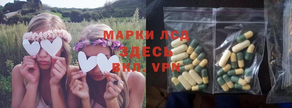 ПСИЛОЦИБИНОВЫЕ ГРИБЫ Алексеевка
