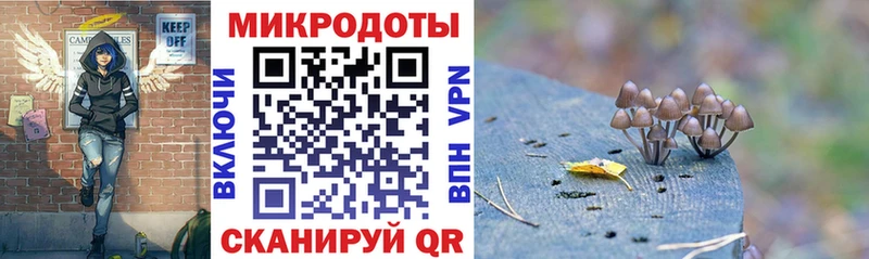 shop какой сайт  Злынка  Галлюциногенные грибы ЛСД 