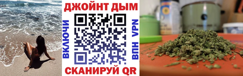 Бошки марихуана план  закладки  Злынка 